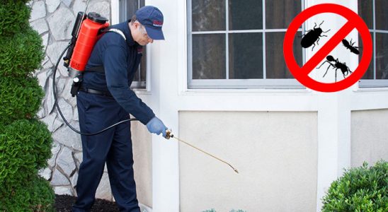 Bünyan Akrep İlaçlama böcek ilaçlama ve haşere kontrolü — ilaclama-tr.com
